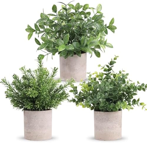Der Rose 3 Pack Fake Plants Mini Faux Plants for Shelf Classroom Decor