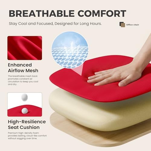 OLIXIS Ergonomic Office Chair 2 Pack, Home Desk Mesh Chairs, Lumbar Support
