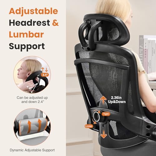 DUMOS Executive Home Office Chair, Ergonomic Computer Desk Chair, Mesh