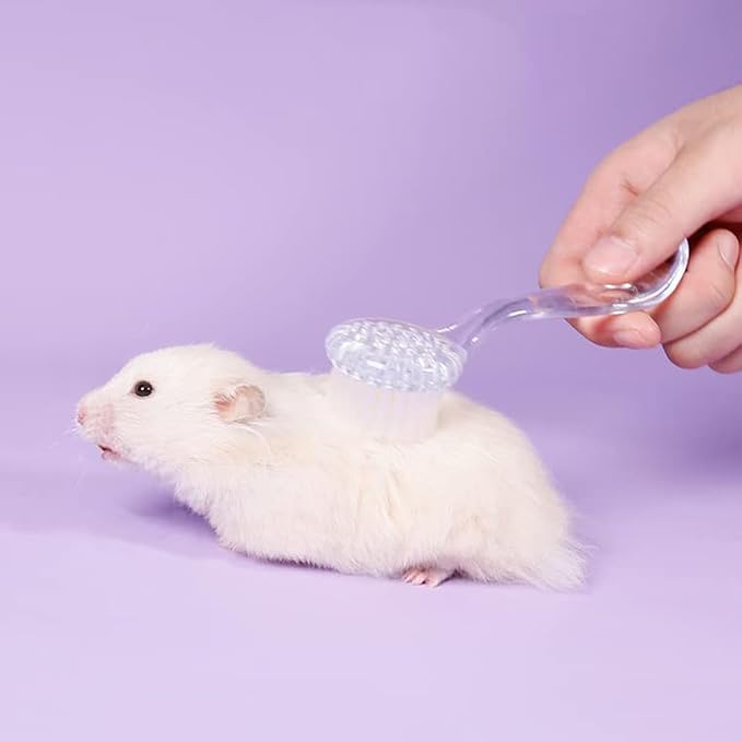 6 Pack Small Animal Brush, Soft Bath GroomingTool with Lid for Hamster, Cat | Keeps coat shiny and healthy. Removes dander and debris. Includes storage lid to keep brush clean.