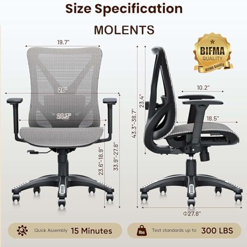 Ergonomic Office Chair, Mesh Computer Desk Chairs with BIFMA X5.1 Certified, Adjustable Lumbar Support, 3D Arm, Tilt Back, Wide Seat, Comfy Swivel Work Task Chair for Company and Home (Dawn Grey)