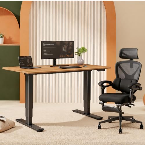 FLEXISPOT E6 Solid Wood Dual Motor 3-Stage Electric Standing Desk, 55 x 28