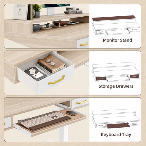 TIQLAB Standing Desk with Two Drawers, Stand Up Standing Desk Adjustable Height, Electric Sit Stand Table with Storage Shelf and Splice Board, with LED Light, 55 * 28 inch, Light Walnut