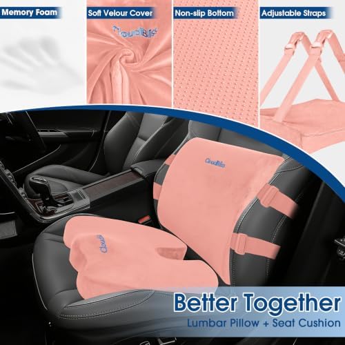 CloudBliss Ergonomic Seat Cushion & Lumbar Support Pillow Set, Pink, XL