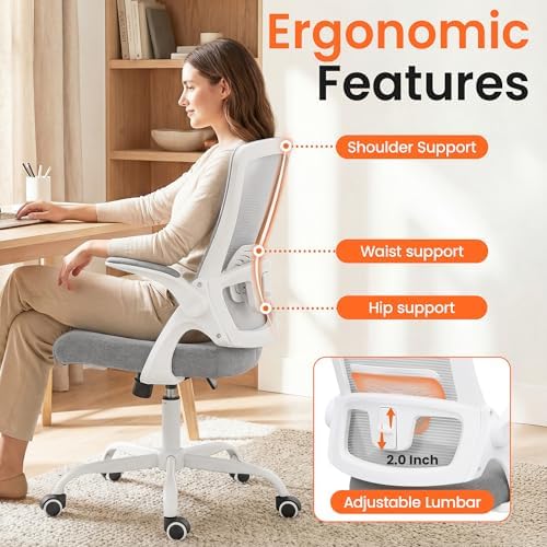 NEO CHAIR Office Desk Mesh Chair with Adjustable Ergonomic Lumbar, Grey