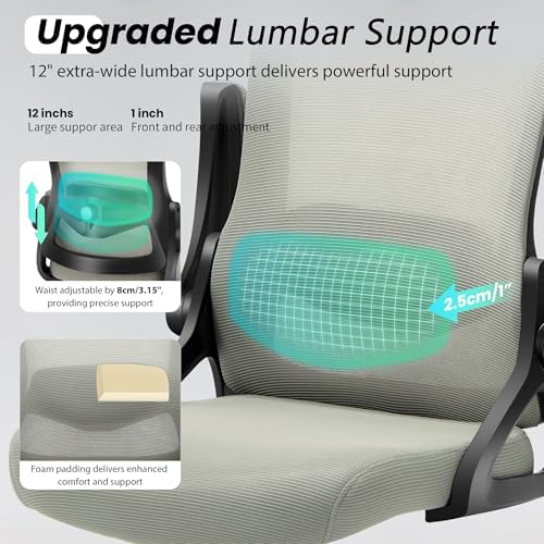 Fizzin Office Chair Mesh Computer Chairs with Adjustable Lumbar Support