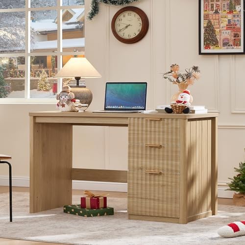 LEYAOYAO Office Desk 48" with 3 Drawers Storage File Cabinet