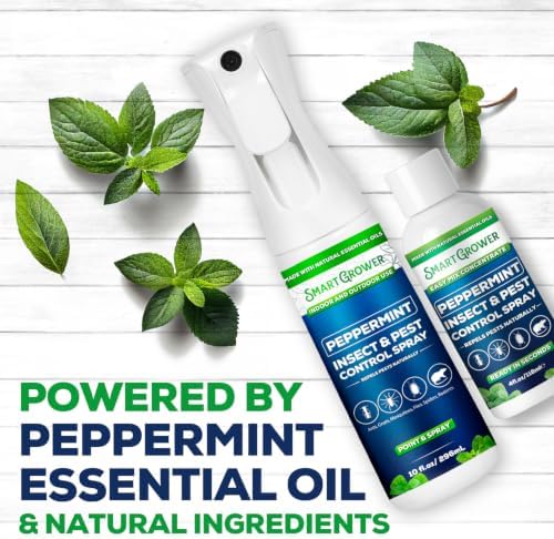 Peppermint Oil Spray for Bugs, 10oz Mister Bottle + 4oz Concentrate Combo