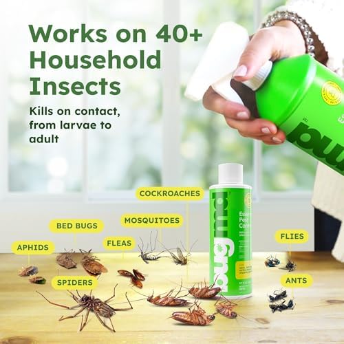 BugMD Ant Killer and Bug Spray Concentrate - Plant-Powered (3.7 oz)