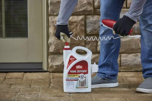 Ortho Home Defense Insect Killer for Indoor & Perimeter2, 1.1 gal. (2-Pack)