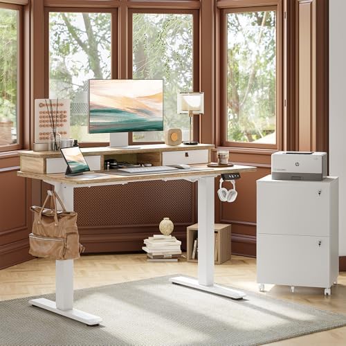 TIQLAB 48 * 24 inch Standing Desk with Two Drawers&Top Shelf, Maple