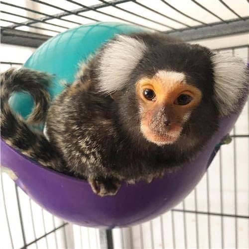 Exotic Nutrition Nap Nook - Unique Nest Pod Cage Accessory Toy - Use Grounded or Hanging - Sugar Gliders, Hamsters, Mice, Rats, Birds, Degus, Chinchillas, & Other Small Pets (Large)