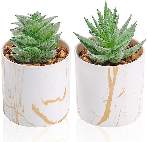 Der Rose 2 Pack Mini Fake Succulents Gold Accent Pots for Office Desk Decor