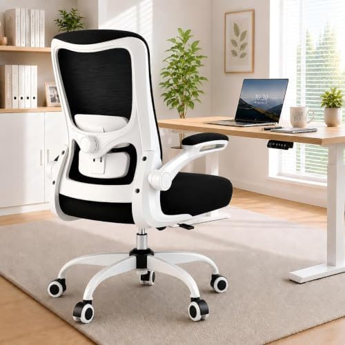 Ergonomic Office Chair for Long Hours, Adjustable Padded Lumbar Support for Lower Back Relief, 330 lb Capacity, Comfortable Computer Desk Chair for Home Office, Work & Study