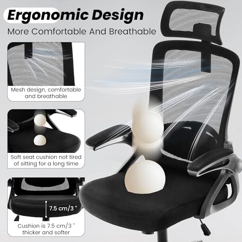 Fizzin Office Chair Mesh Computer Chairs with Adjustable Lumbar Support