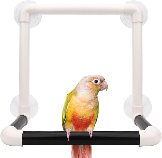Hypeety Portable Suction Cup Bird Window and Shower Perch Toy Parrot Stand | 4 strong suction cups, parrot bath perch, easy to install, fits windows/shower tile, for cockatoo/african greys/macaws, grey