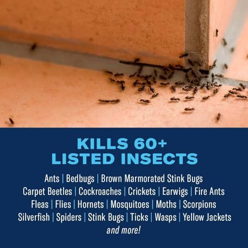 Home Pest Plus Germ Killer 1-Gallon Insect Killer