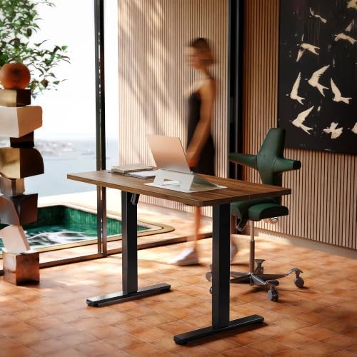 HUANUO 40x24 Inch Electric Standing Desk, Height Adjustable, Black Walnut