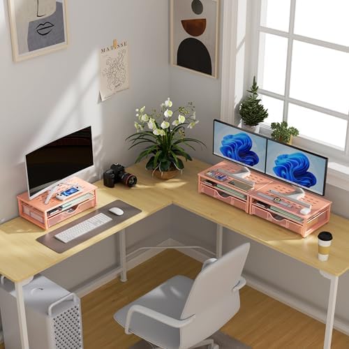gianotter Computer Monitor Stand Riser with Drawer