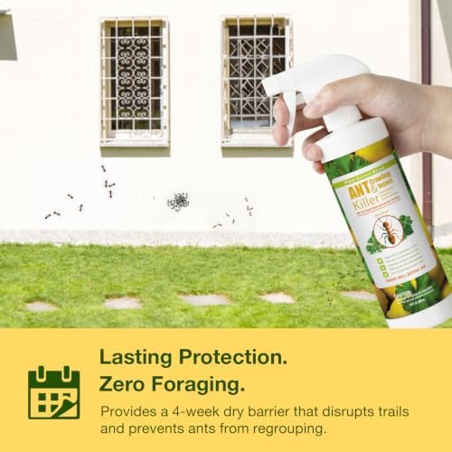 EcoVenger® Ant and Insect Killer 16 oz | Citrus Scent | Fast Kills House Ants Fire Ants | Residual Deterrence | Plant-Based Child and Pet Safe