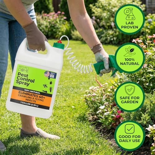 Nature's Dome Pest Control Spray 1 Gallon | Indoor & Outdoor Ant Spray for Yard, Patio & Perimeter | Kills Ants, Fleas, Ticks & Mosquitoes on Contact | Plant-Based Bug Killer, Ready to Use, No Mixing