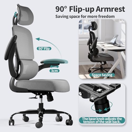 TRALT Office Chair Ergonomic Desk Chair - Gaming Chair with Lumbar Support (1,Dark Grey)