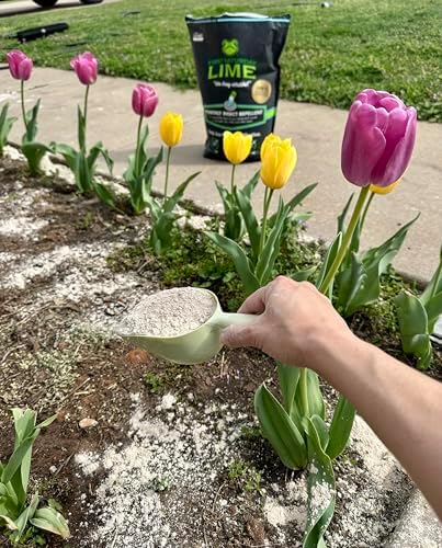 First Saturday Lime Insect Deterrent - 40lb Bag |Multi-Purpose for Outdoors