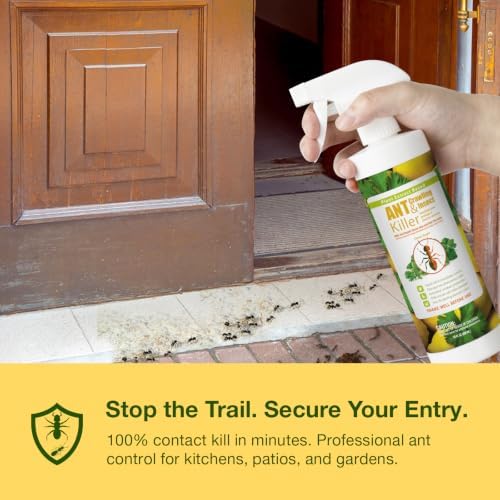 EcoVenger® Ant and Insect Killer 16 oz | Citrus Scent | Fast Kills House Ants Fire Ants | Residual Deterrence | Plant-Based Child and Pet Safe