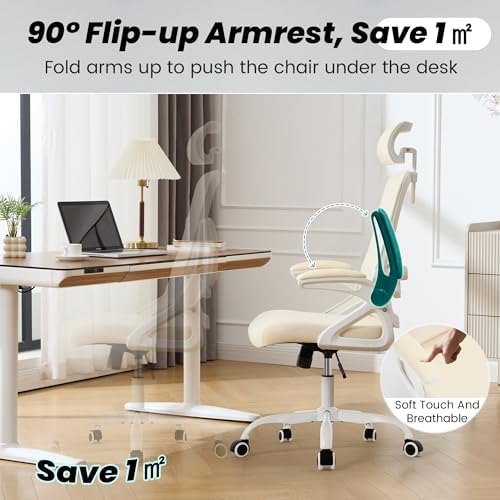 Fizzin Office Chair Mesh Computer Chairs with Adjustable Lumbar Support