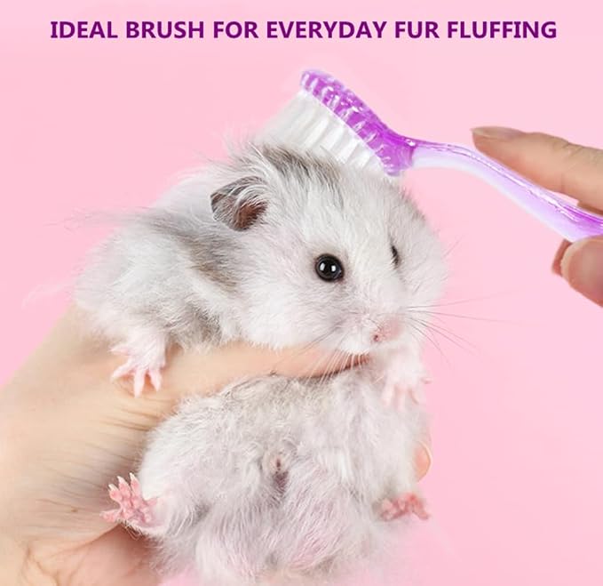 3PC Small Animal Bath Brush with Lid Soft Cleansing Brush Massage Combs for Hedgehog Guinea Pig Rabbit Chinchilla Ferret Small Animal Grooming Tool Cleaning Supplies