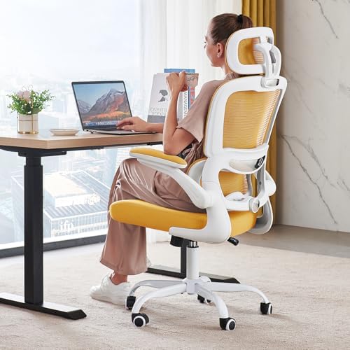 TRALT Office Chair Ergonomic Desk Chair - Gaming Chair with Lumbar Support