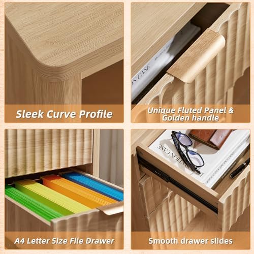 LEYAOYAO Office Desk 48" with 3 Drawers Storage File Cabinet