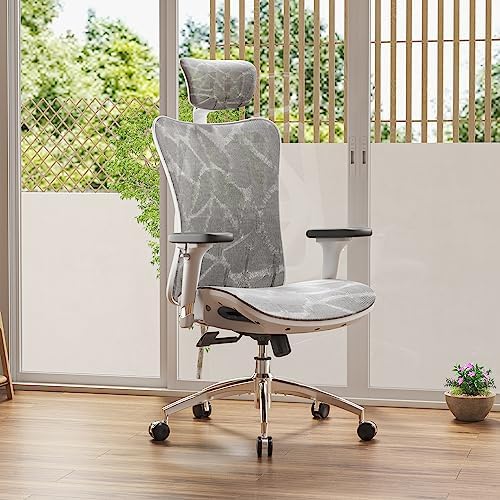 SIHOO M57 Ergonomic Office Chair, Mesh Back Desk Chair with 3D Armrests