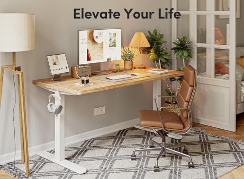 FEZIBO 48 x 24 Inchs Electric Standing Desk, Height Adjustable, Sit Stand Up, Computer Office Desk with Splice Board, White Frame/Light Rustic Top