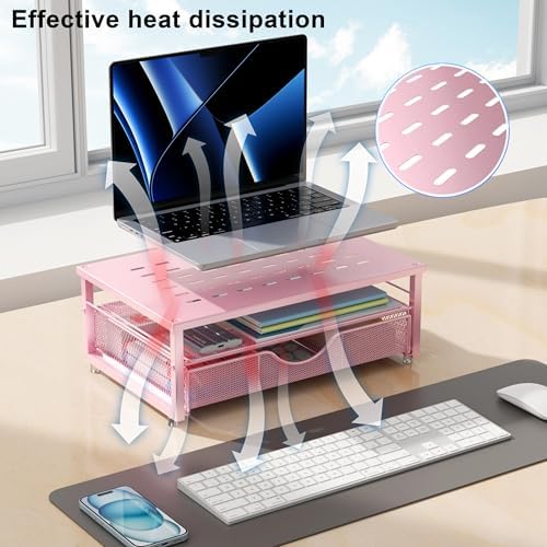 gianotter Computer Monitor Stand Riser with Drawer