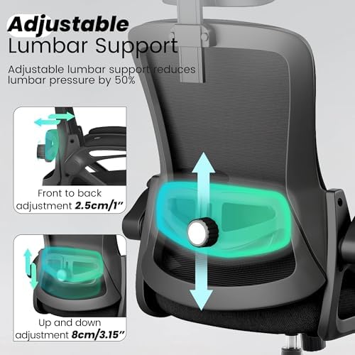 Fizzin Office Chair Mesh Computer Chairs with Adjustable Lumbar Support