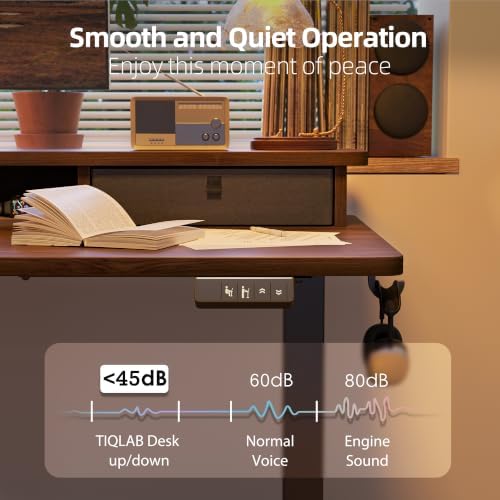 TIQLAB 48 * 24 inch Standing Desk with Two Drawers&Top Shelf, Black Walnut