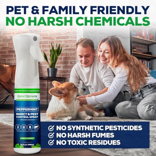 Peppermint Oil Spray for Bugs, Continuous Fine Mist, 10oz Ready to Use