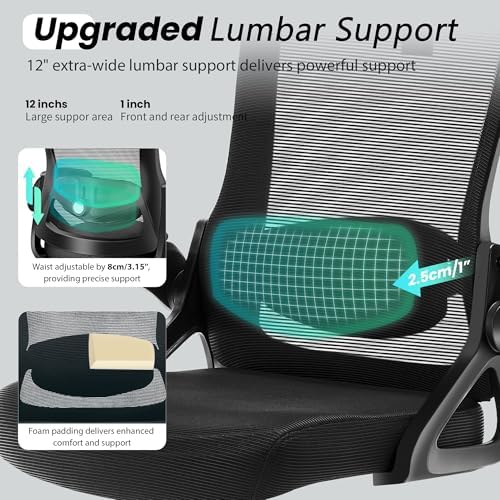 Fizzin Office Chair Mesh Computer Chairs with Adjustable Lumbar Support