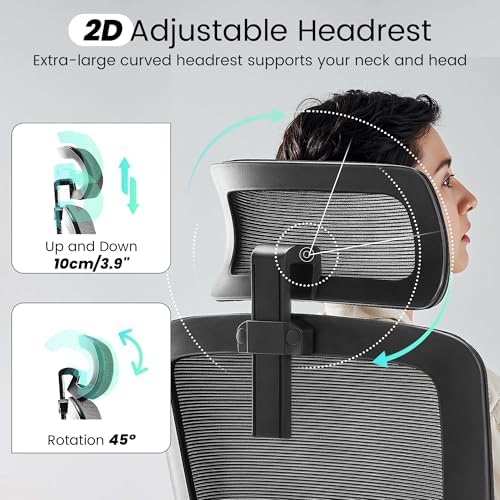Fizzin Office Chair Mesh Computer Chairs with Adjustable Lumbar Support