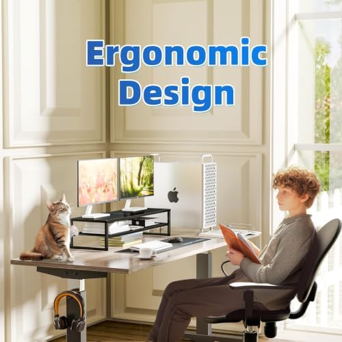Simple Trending 2-Tier Dual Monitor Stand with Mouse Pad, Metal, Black
