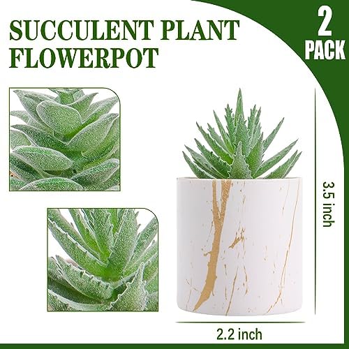 Der Rose 2 Pack Mini Fake Succulents Gold Accent Pots for Office Desk Decor