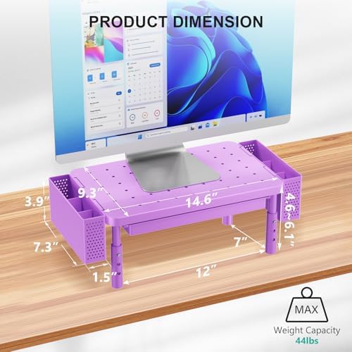 WALI Computer Monitor Stand with Storage and Pen Holder