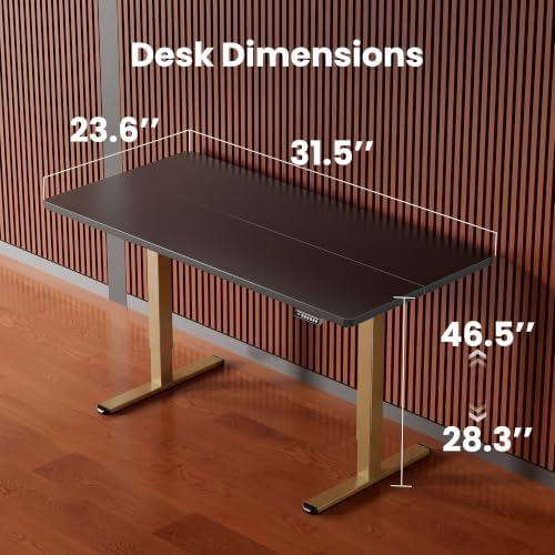 ErGear Height Adjustable Electric Standing Desk, 32 x 19 Inches Sit Stand up Desk, Memory Computer Home Office Desk, Black+Gold