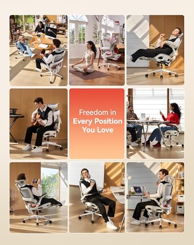 SIHOO B100 Pro Ergonomic Office Chair with Adaptive Lumbar Support, Computer Chair with Dual-Back, Desk Chair with 360° Rotatable & Flip-Up Armrests, 3D Wide Headrest, 2 Packs, Light Grey