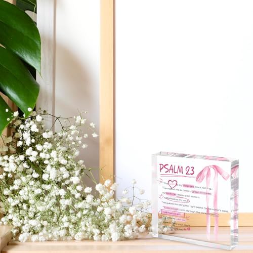 Pink Bow Room Decor, Valentines Day Decor, Inspirational Bible Verse Quotes, Christian Psalm 23 Gifts for Women, Coquette Aesthetic Bow Dorm Decoration, Acrylic Office Desk Accessories Decoration