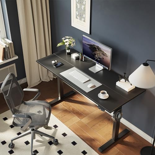 Agilestic 55 * 24 Inch Height Adjustable Electric Standing Desk, Black