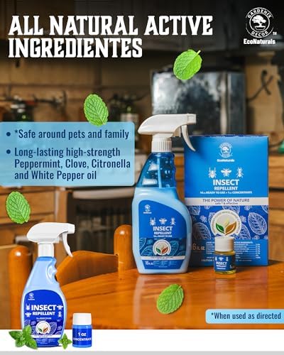 All Natural Bug Spray for Home - Non-Toxic Peppermint Oil Insect and Pest Control Kit - 16 oz + 1 oz value - Ready-to-Use Bug Spray - Indoor and Outdoor Protection- Ant Spray - Spider Repellent Indoor
