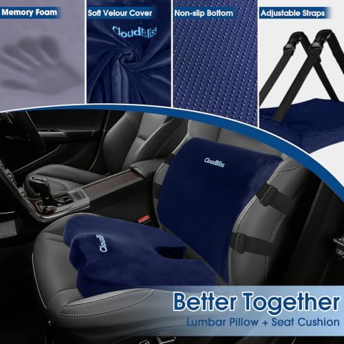 CloudBliss Ergonomic Seat Cushion & Lumbar Support Pillow Set, Blue, Large