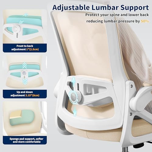 Ergonomic Office Chair Desk Chair with Adjustable Lumbar Support